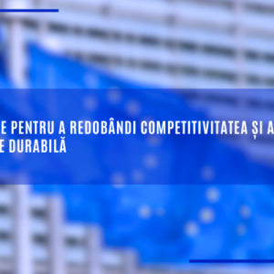 o busola pentru competitivitate