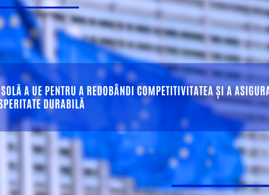 o busola pentru competitivitate