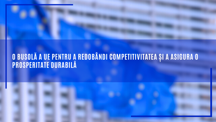 o busola pentru competitivitate